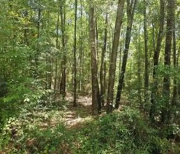 0 Mill House Drive S, Mobile, AL 36619 - Image #2