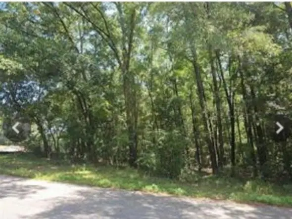 0 Mill House Drive, Mobile, AL 36619 - Image #3