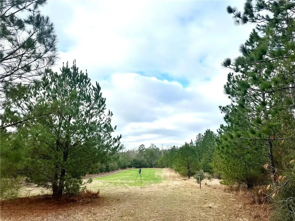 4699 Lambert Cemetery Road, Citronelle, AL 36522 - #1