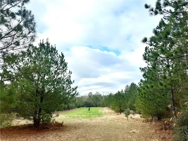 4699 Lambert Cemetery Road, Citronelle, AL 36522