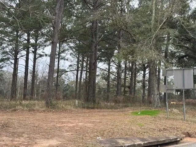 8601 Grelot Road, Mobile, AL 36695 - Image #3