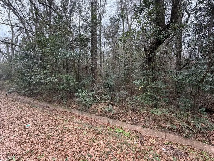 0 Carol Street, Mobile, AL 36608 - #2