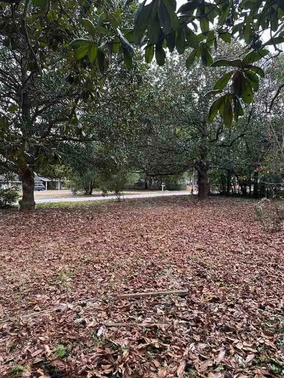 4604 Oak Ridge Road, Mobile, AL 36609 - #3