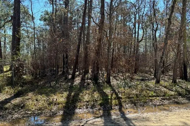 1869 Cedar Creek Circle, Coden, AL 36523 - #2