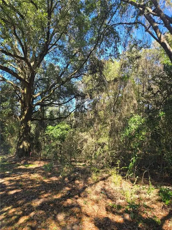 10086 Old Highway 43, Creola, AL 36525