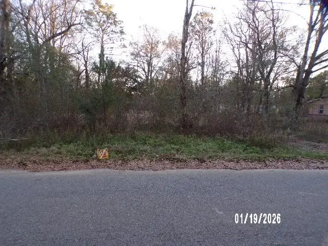 311 Bayou Avenue, Saraland, AL 36571 - #3