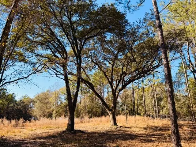 0 Lakefront Drive, Mobile, AL 36695 - #3