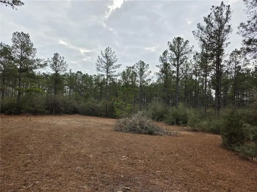 0 Chunchula Landfill Road, Chunchula, AL 36521 - #3