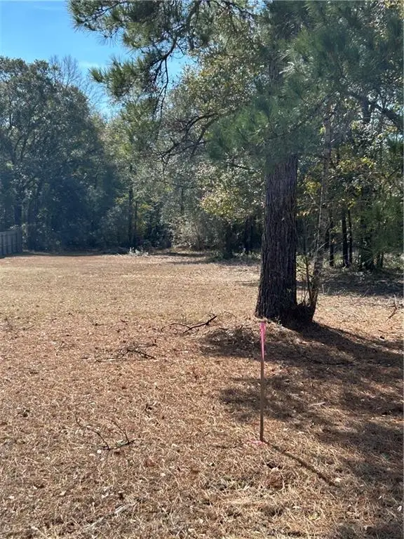 10086 Highway 43, Creola, AL 36525 - #2