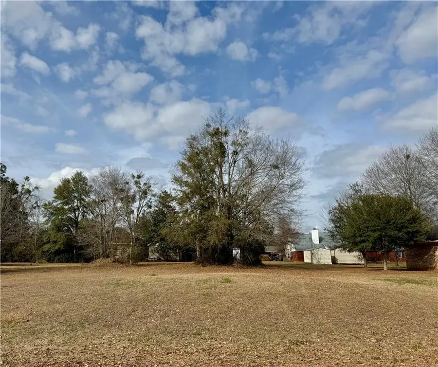 19795 Coral Lane, Robertsdale, AL 36567 - #3