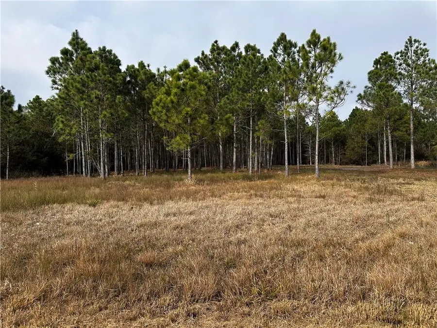 0 Shell Belt Road, Coden, AL 36523 - #2