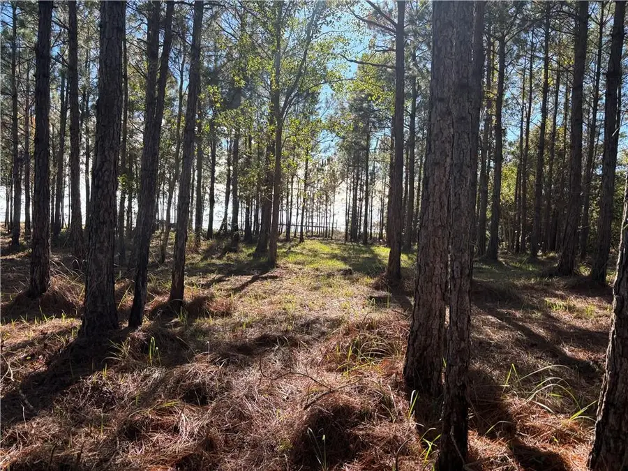 0 Shell Belt Road, Coden, AL 36523 - #3