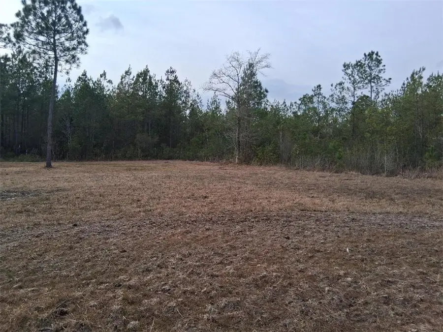 0 Will Jones Road, Vinegar Bend, AL 36584 - #2