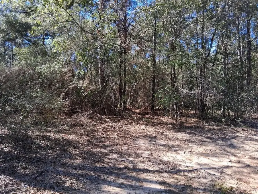 0 Williamson Road, Chunchula, AL 36521 - #2