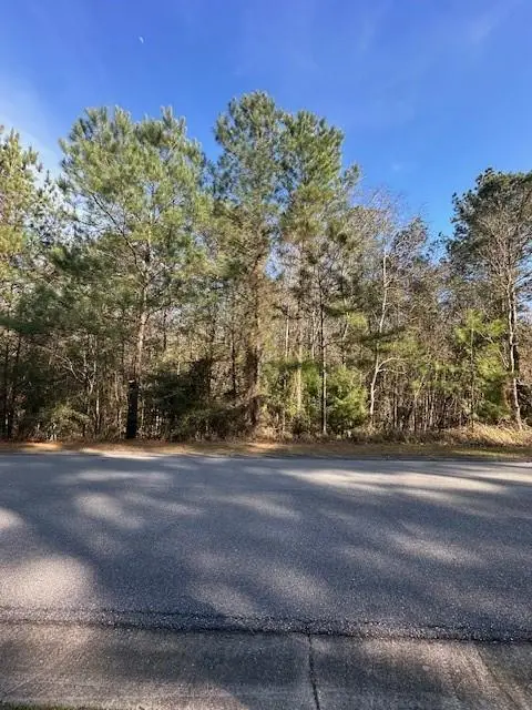 0 Boardwalk Drive, Daphne, AL 36527 - #3