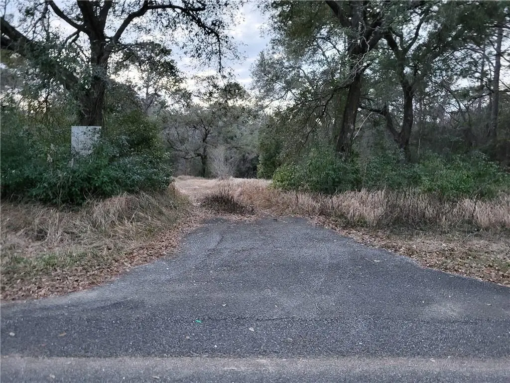 10840 Wisteria Street, Irvington, AL 36544 - #1