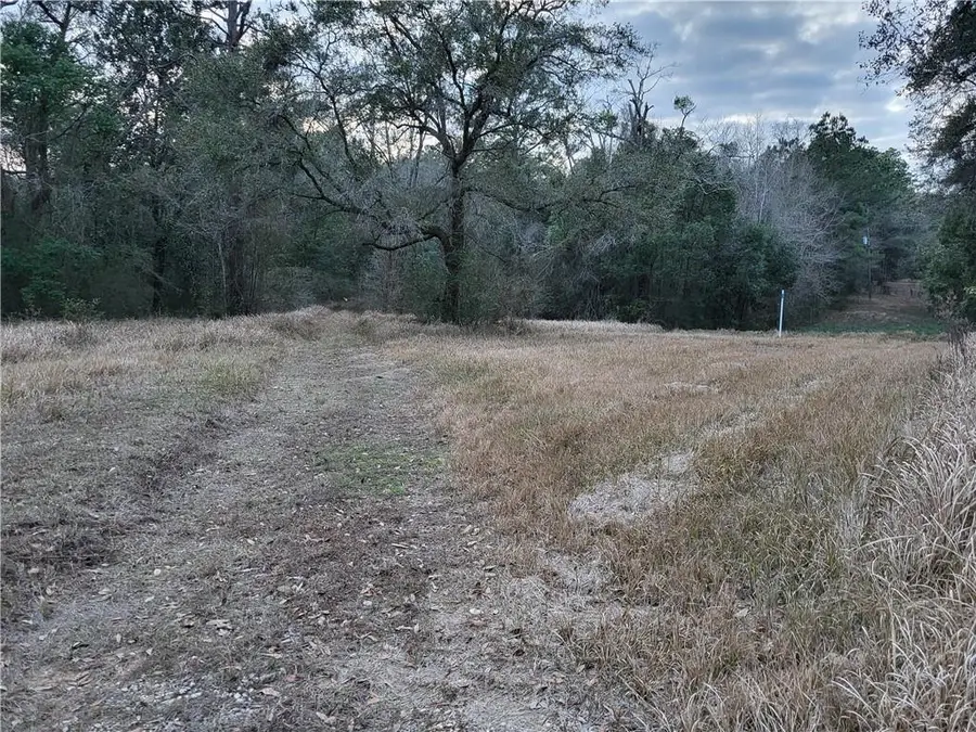 10840 Wisteria Street, Irvington, AL 36544 - #3