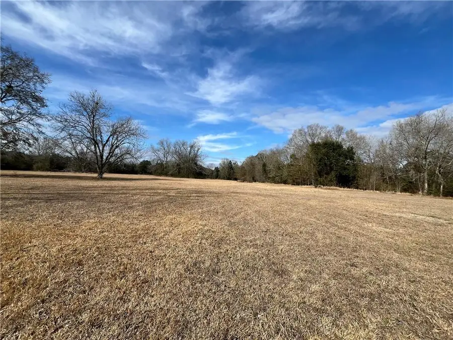 12030 Potter Tract Road, Grand Bay, AL 36541 - #2