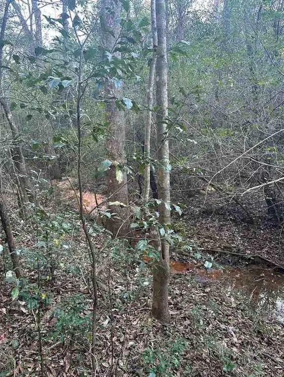 4225 Greaves Road, Eight Mile, AL 36613 - #3