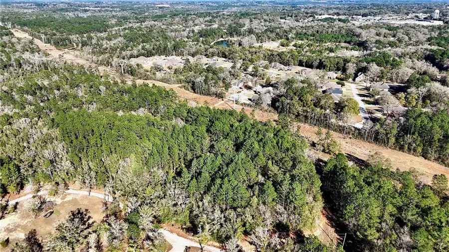 0 Whitestone Place, Semmes, AL 36575 - #3