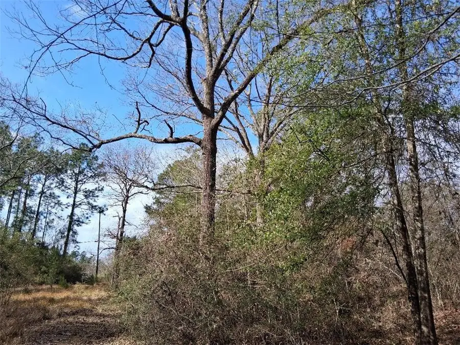 0 Hyatt Road, Chunchula, AL 36521 - #3