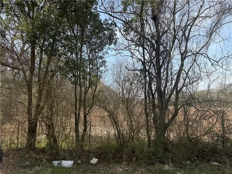 0 Magnolia Road, Irvington, AL 36544 - #3