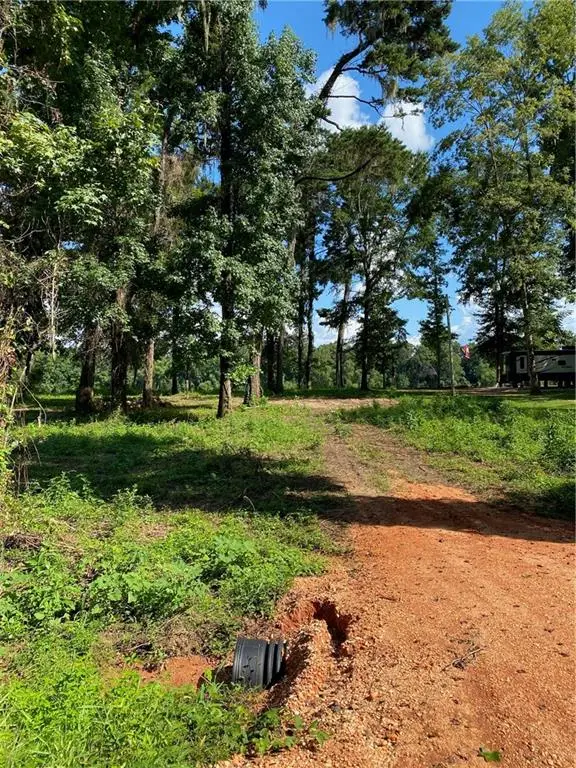 87 Sandy Bottoms Road, Gainestown, AL 36540