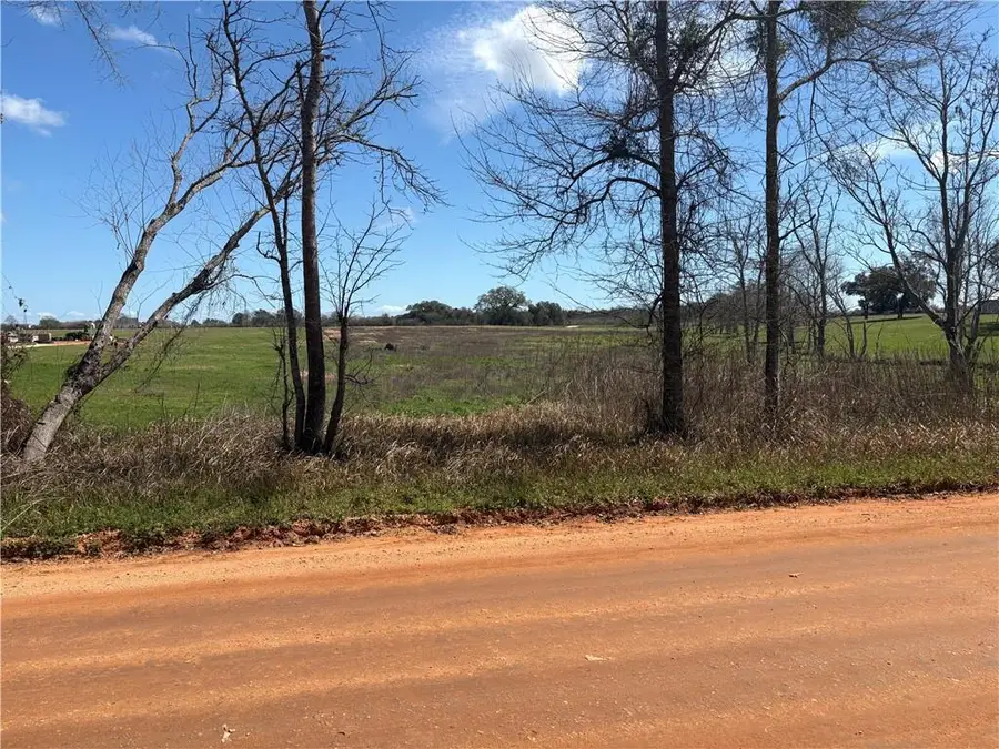 0 Wear Road, Grand Bay, AL 36541 - #2