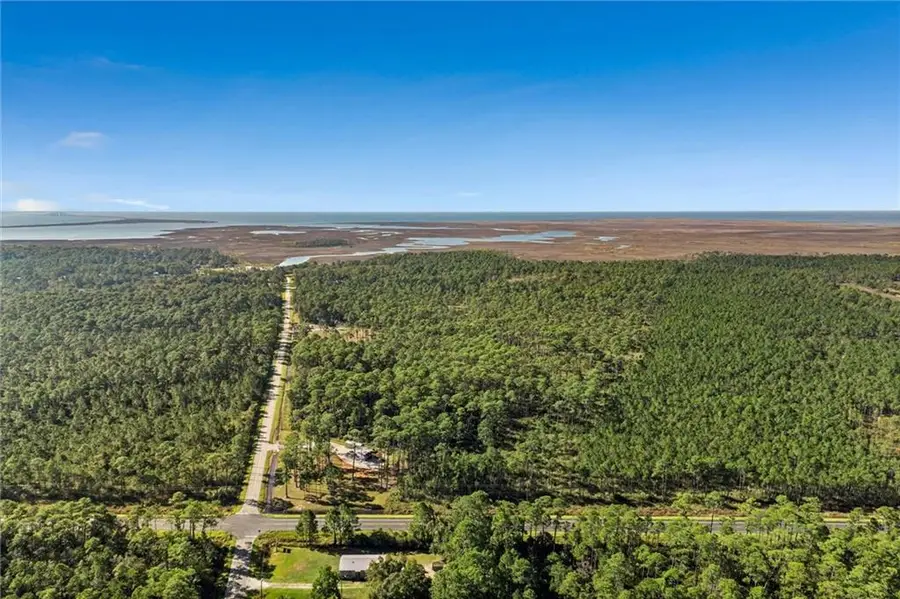 4455 Heron Bay Loop Road S, Coden, AL 36523 - #3