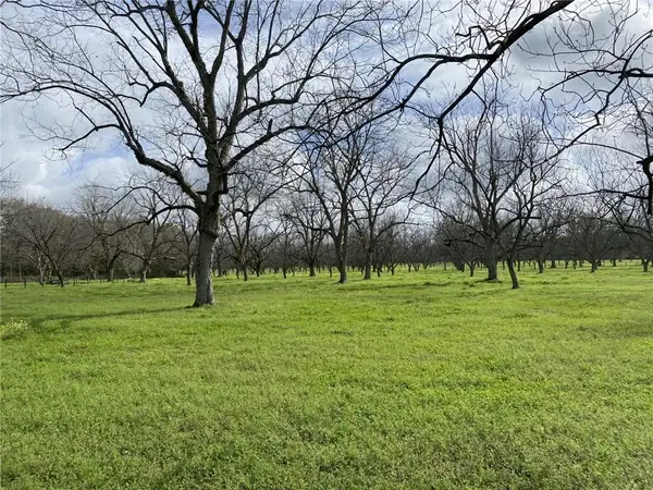 0 Festival Park Road, Grand Bay, AL 36541