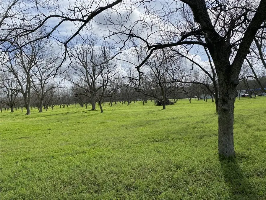 0 Festival Park Road, Grand Bay, AL 36541 - #3