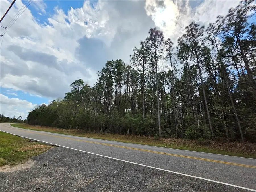 0 Henry Davis Road, Chunchula, AL 36521 - #2