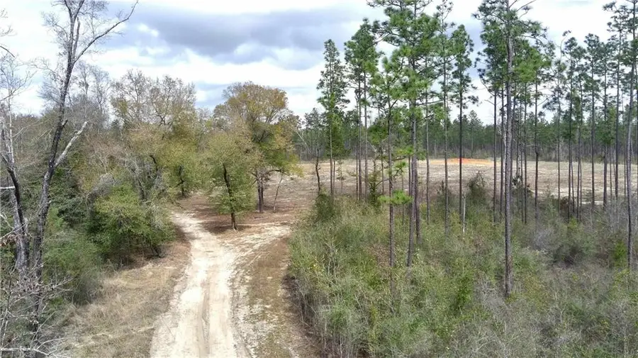 Lot 1 Paul Road, Perdido, AL 36562 - #2