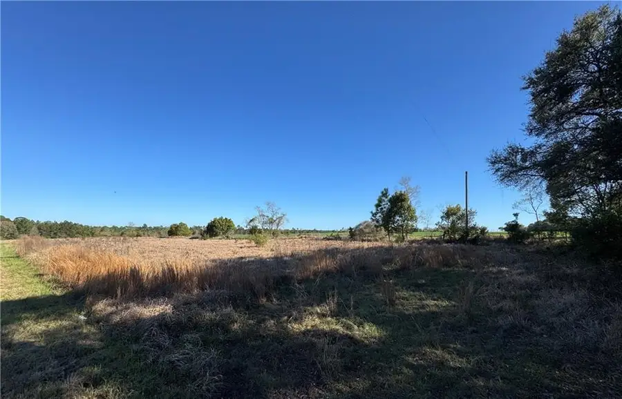 11351 Walker Road, Irvington, AL 36544 - #2