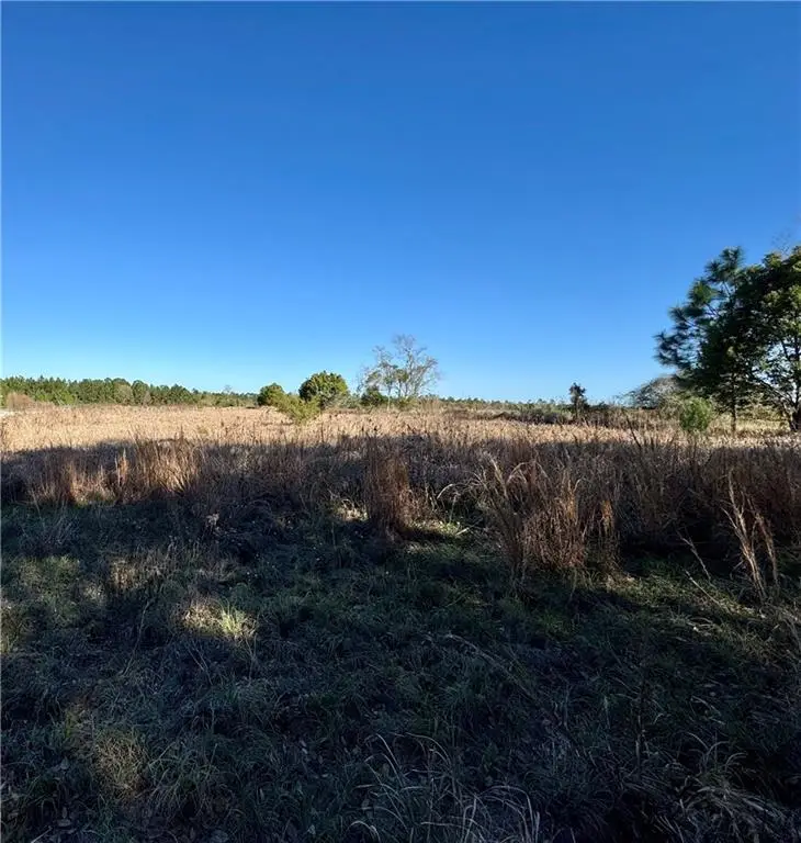 11351 Walker Road, Irvington, AL 36544 - #3