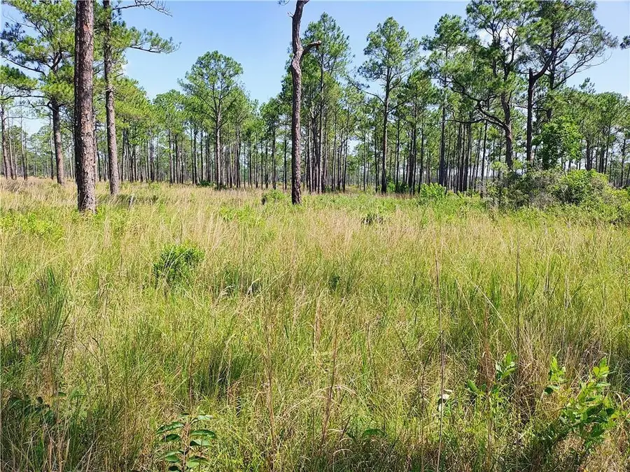 000 Johnson Road, Coden, AL 36523 - #2