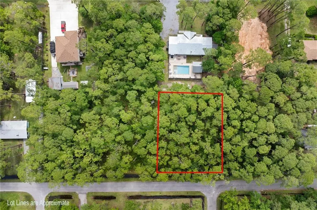 146 Mississippi Street, Dauphin Island, AL 36528 - #1