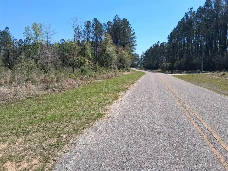 00000 Old Citronelle Highway, Chunchula, AL 36522 - #3