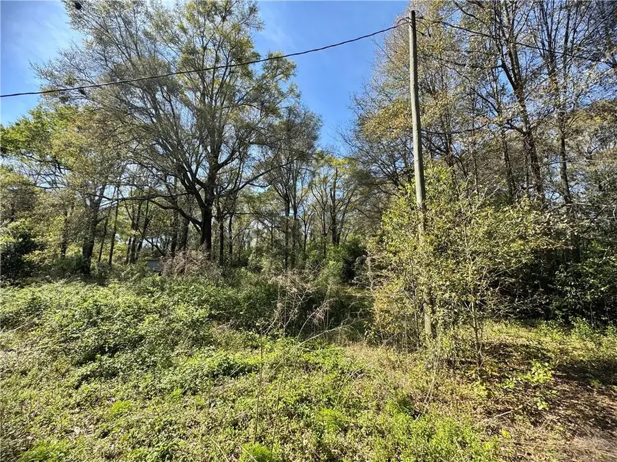 9610 Chunchula-georgetown Road, Chunchula, AL 36521 - #2