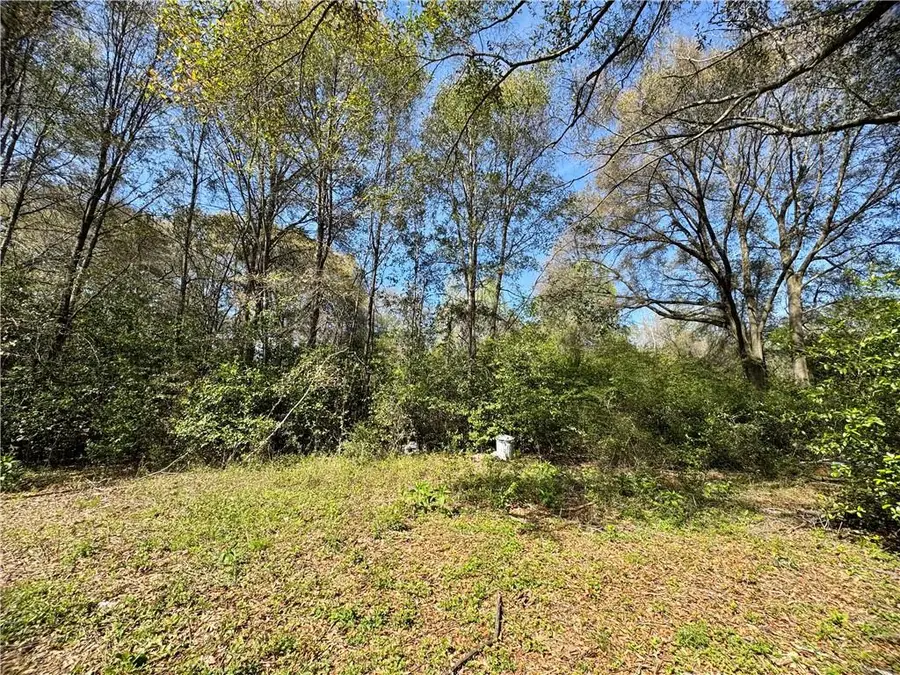 9610 Chunchula-georgetown Road, Chunchula, AL 36521 - #3