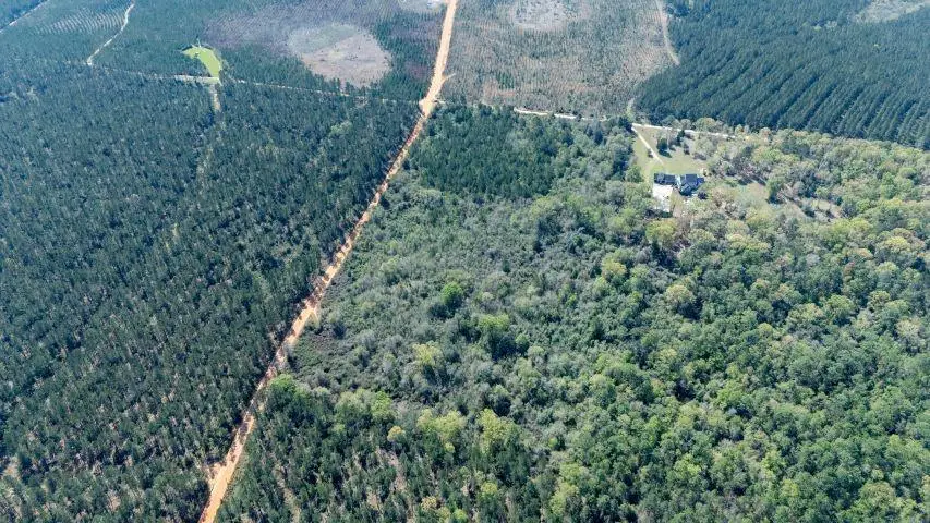 0 Brady Road N, Bay Minette, AL 36507 - #3