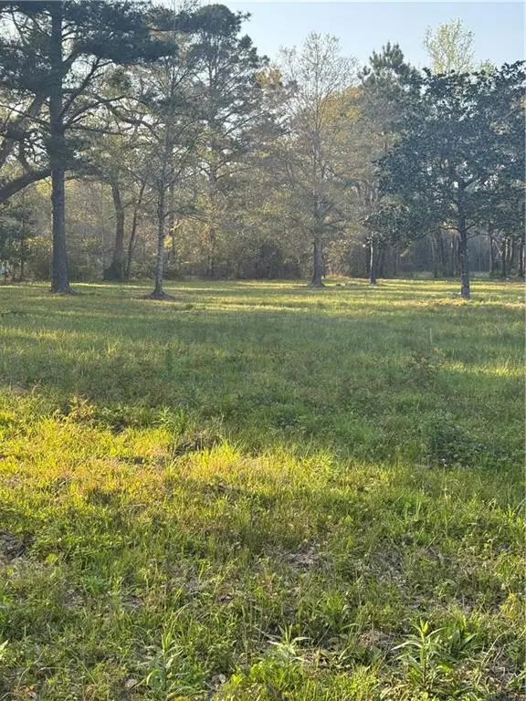 9170 Little River Road, Bayou La Batre, AL 36509 - #3