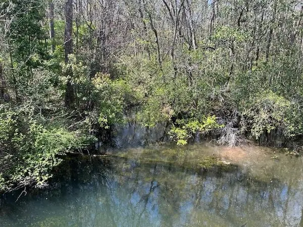 0 Old Pascagoula Road, Theodore, AL 36582