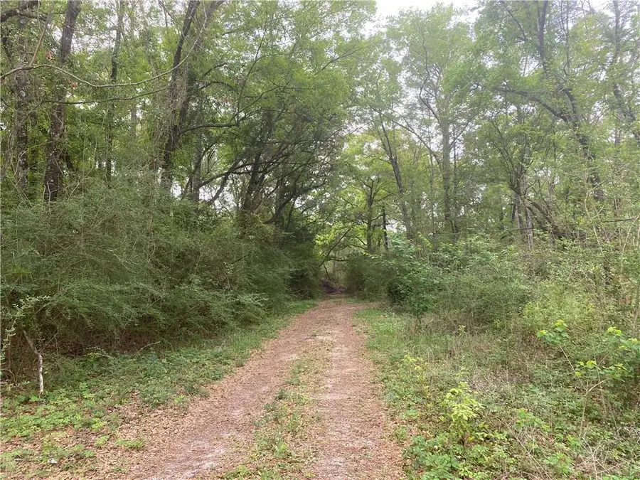 228 Lucille Street, Saraland, AL 36571 - #2