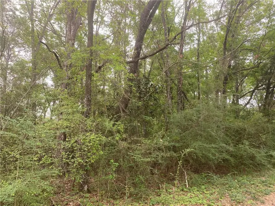 228 Lucille Street, Saraland, AL 36571 - #3