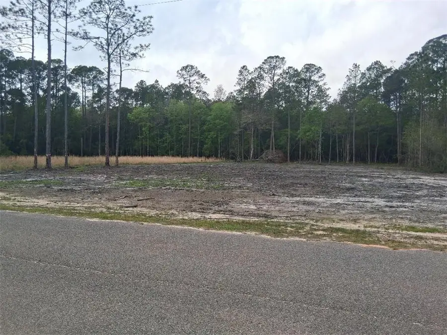 00000 Deerfield Drive, Irvington, AL 36544 - #2