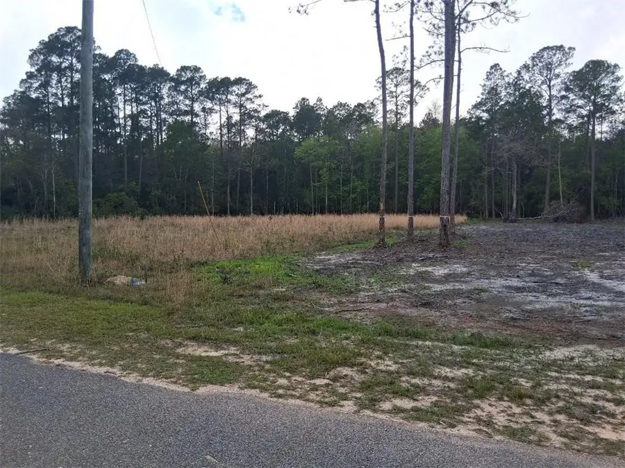 00000 Deerfield Drive, Irvington, AL 36544 - #3