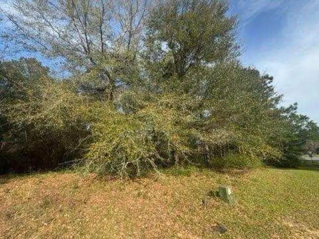 0 Delta Woods Drive, Bay Minette, AL 36507 - #2