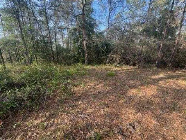 0 Delta Woods Drive, Bay Minette, AL 36507 - #3