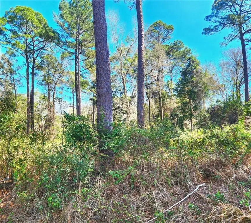 Lot 37 Dauphin Island Parkway, Theodore, AL 36582 - #1